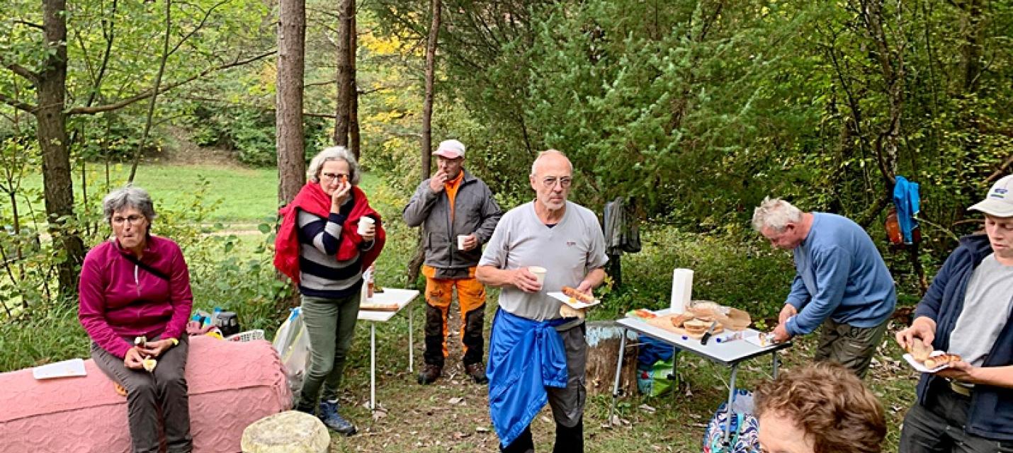 Viele fleissige Hände
